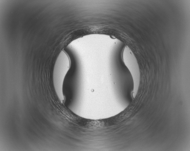 X0000060780421200512011644