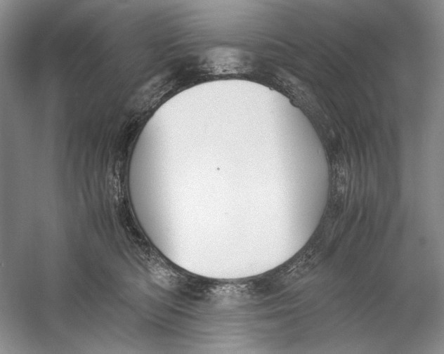 X0000060780422200512011644