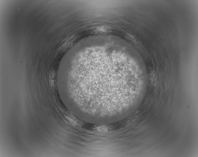 X0000060780423200512011644