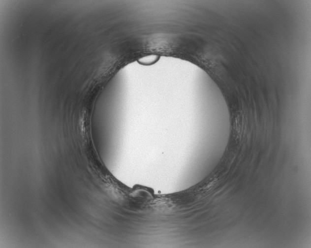 X0000060780424200512011644