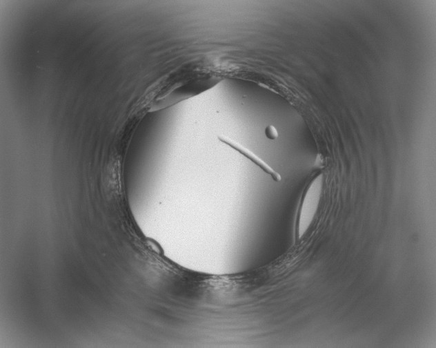 X0000060780425200512011644