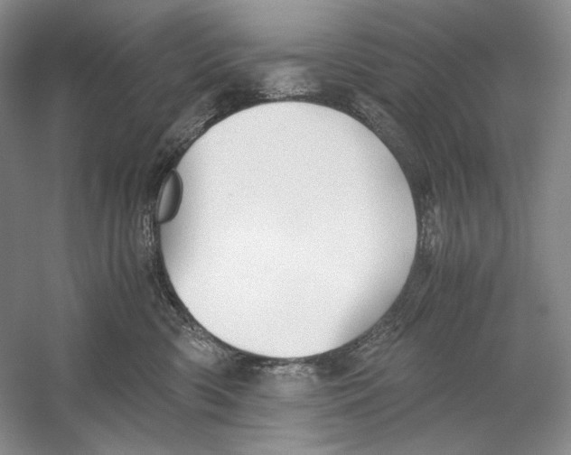 X0000060780426200512011644