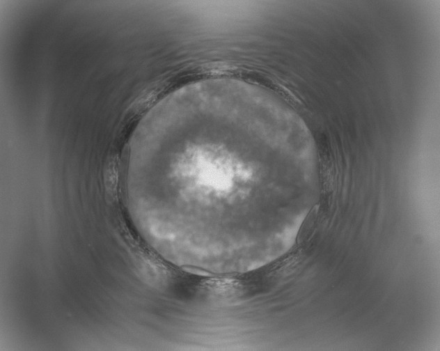 X0000060780427200512011644