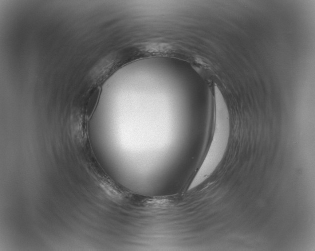 X0000060780428200512011644