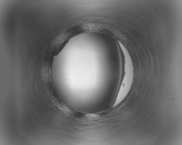 X0000060780429200512011644