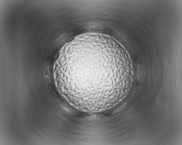 X0000060780430200512011644