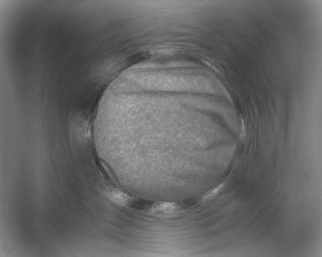 X0000060780431200512011644