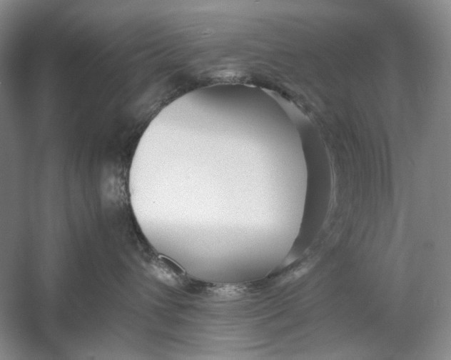 X0000060780432200512011644