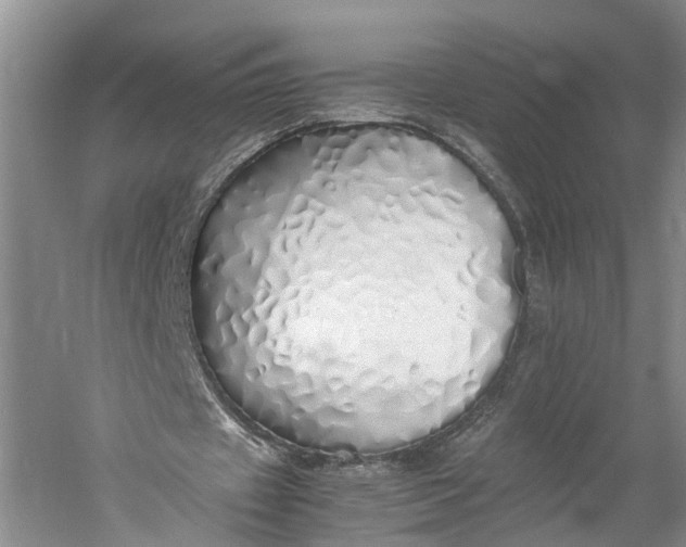 X0000060780433200512011643