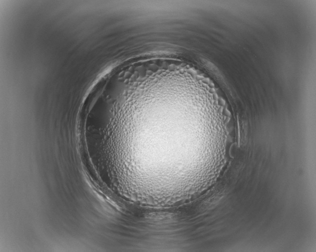 X0000060780435200512011643