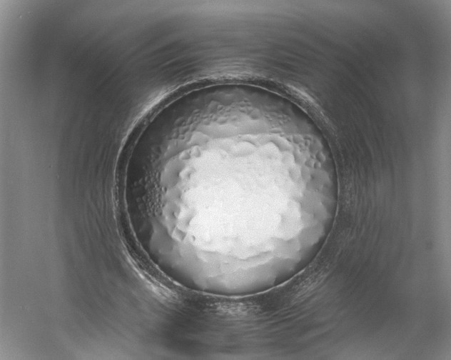 X0000060780439200512011643