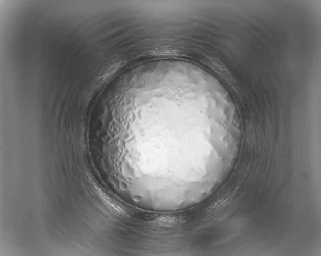 X0000060780441200512011643