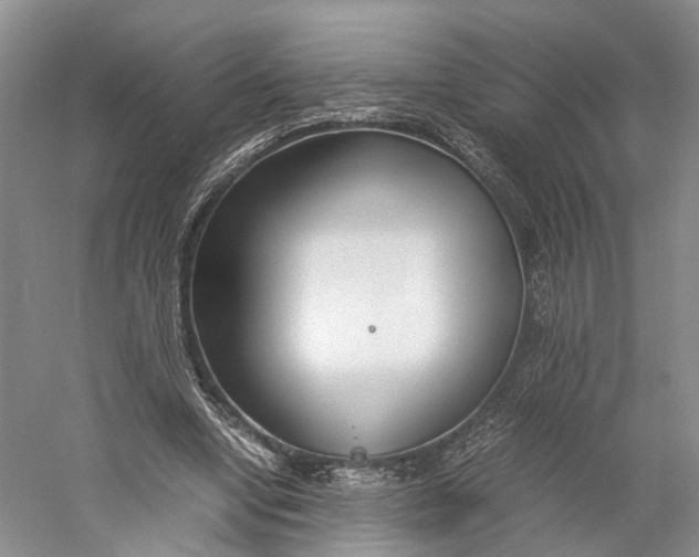 X0000060780442200512011643