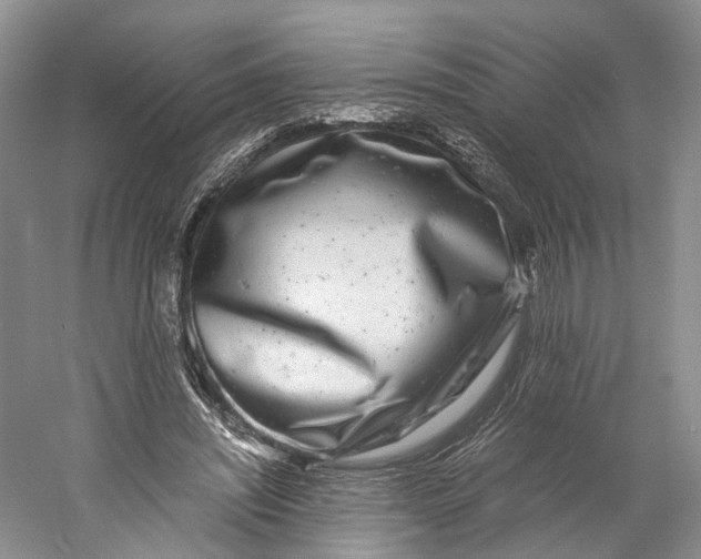 X0000060780444200512011643