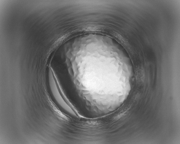 X0000060780445200512011643