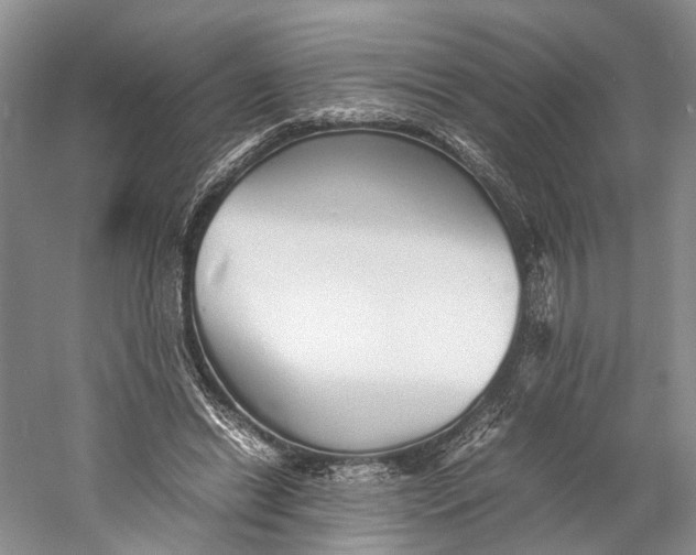 X0000060780446200512011643
