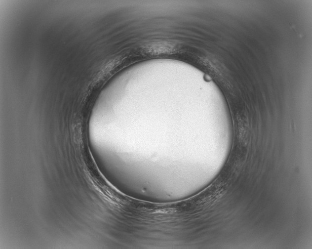 X0000060780447200512011643
