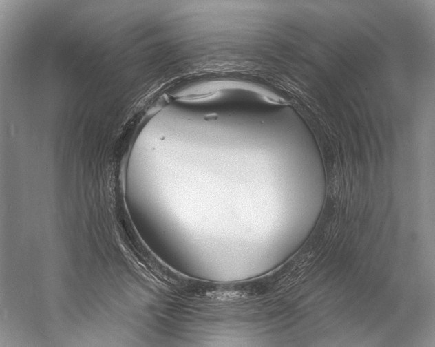 X0000060780448200512011643