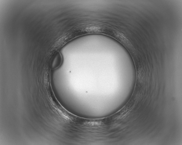 X0000060780449200512011643