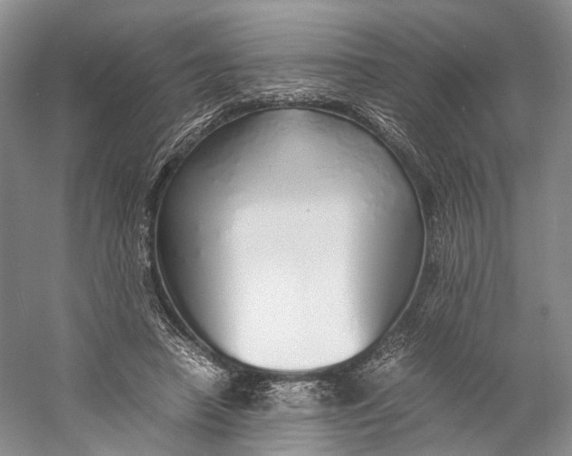X0000060780450200512011643