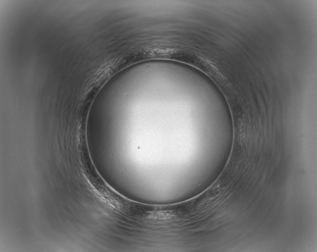 X0000060780451200512011643