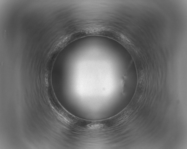 X0000060780452200512011643
