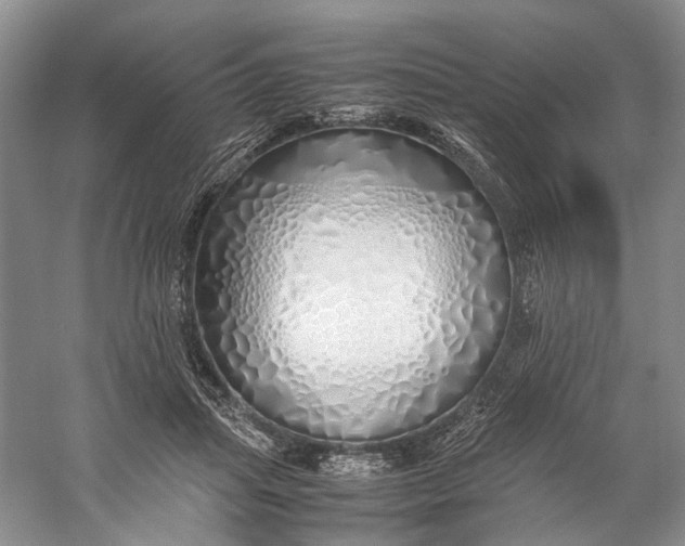 X0000060780455200512011643