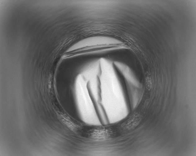 X0000060780458200512011643