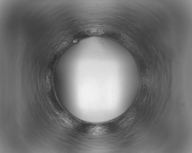 X0000060780460200512011643