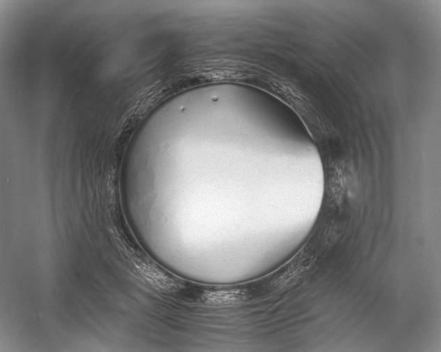 X0000060780461200512011643