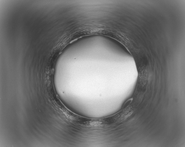 X0000060780462200512011643