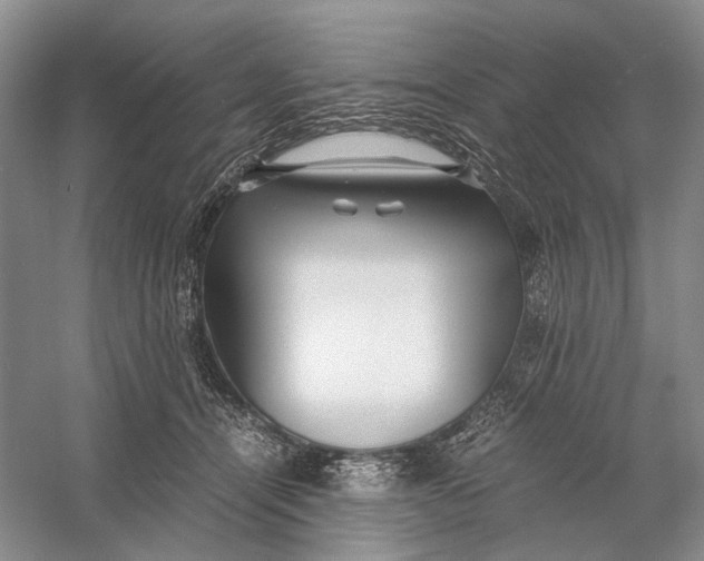 X0000060780464200512011644