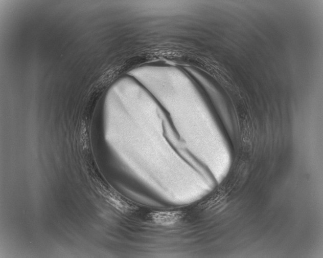 X0000060780465200512011644