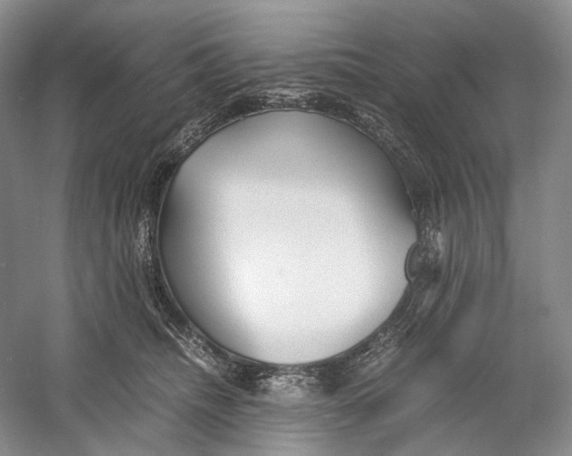 X0000060780468200512011644