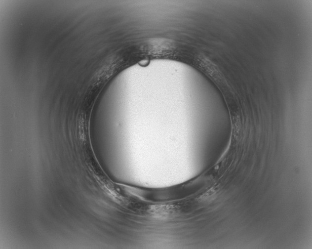 X0000060780470200512011644
