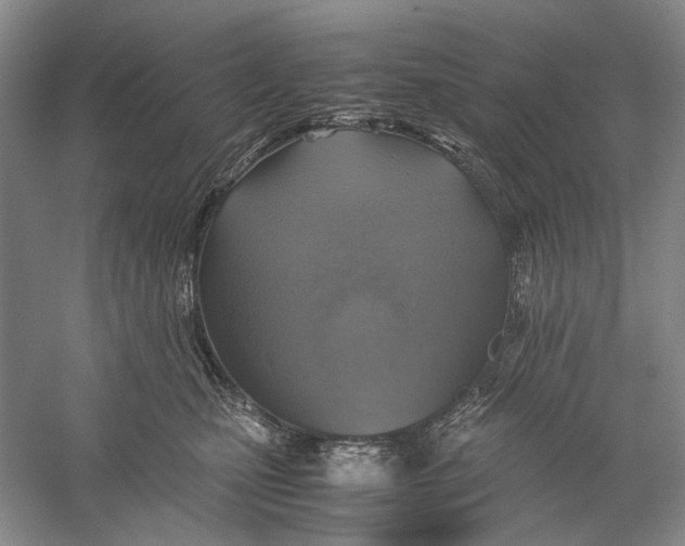 X0000060780471200512011644
