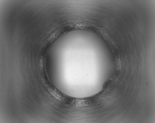 X0000060780472200512011644