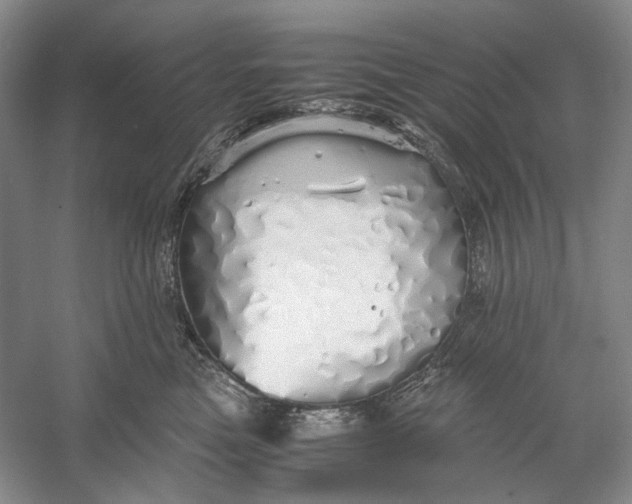 X0000060780473200512011644