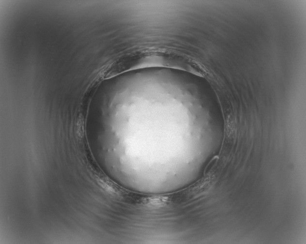 X0000060780474200512011644