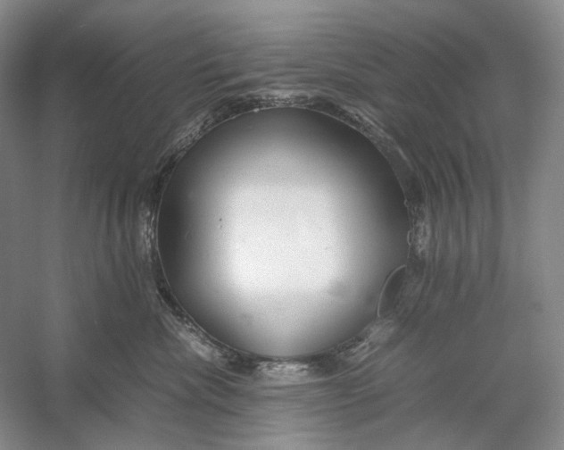X0000060780476200512011644
