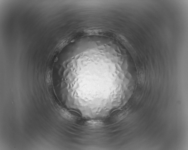 X0000060780477200512011644