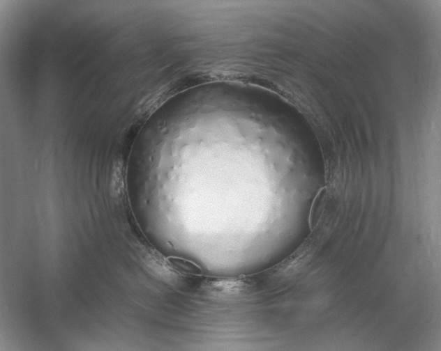 X0000060780478200512011644