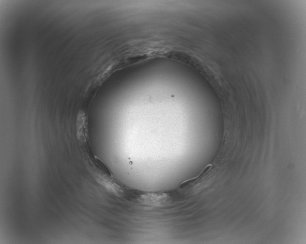 X0000060780480200512011644