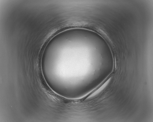 X0000060780483200512011643