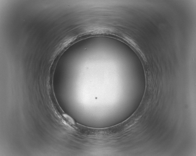 X0000060780485200512011643
