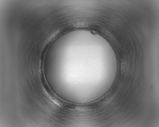 X0000060780490200512011643