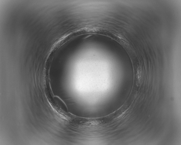 X0000060780492200512011643