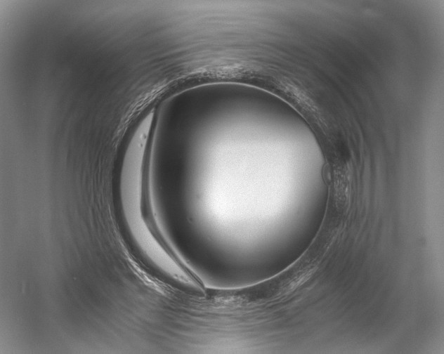 X0000060780493200512011643