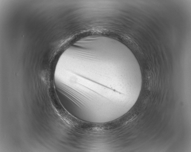 X0000060780496200512011643