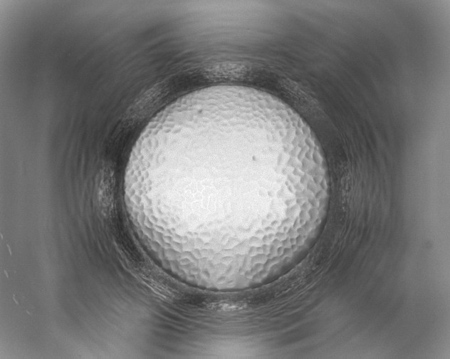 X0000060780498200512011643
